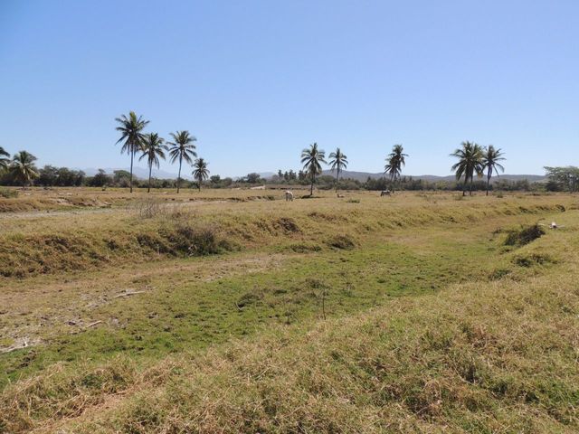 place photo 19