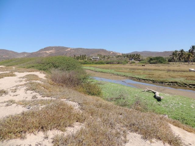 place photo 23