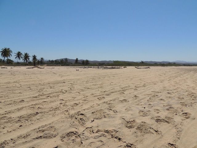 place photo 27