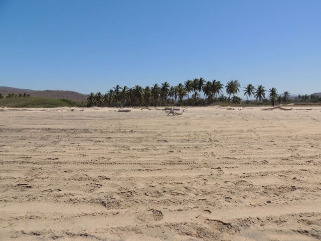 place photo 30