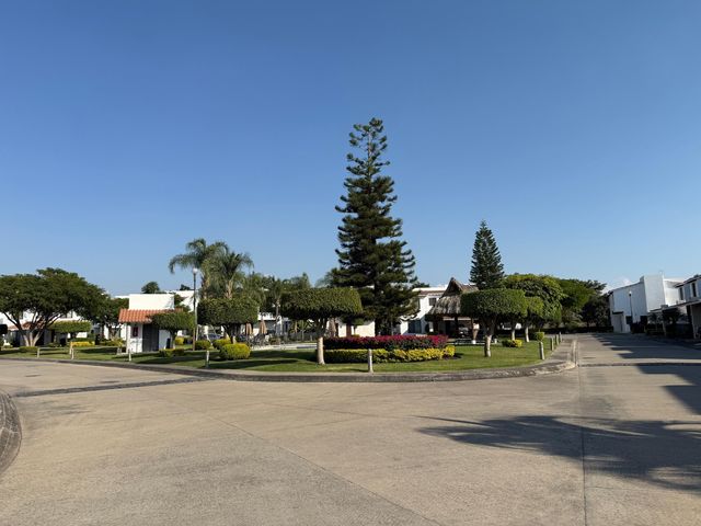 place photo 34