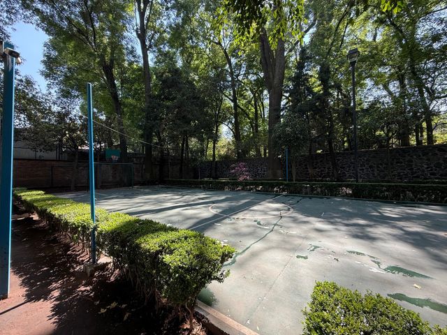 place photo 30