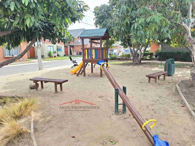 place photo 38