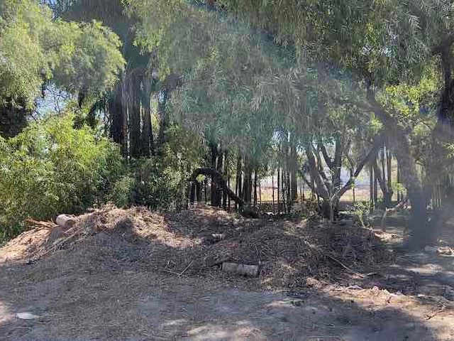 place photo 18