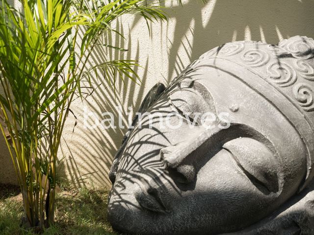 place photo 33
