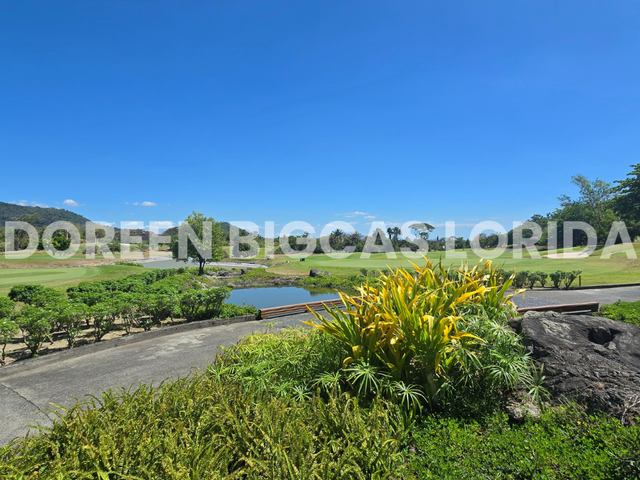 place photo 45