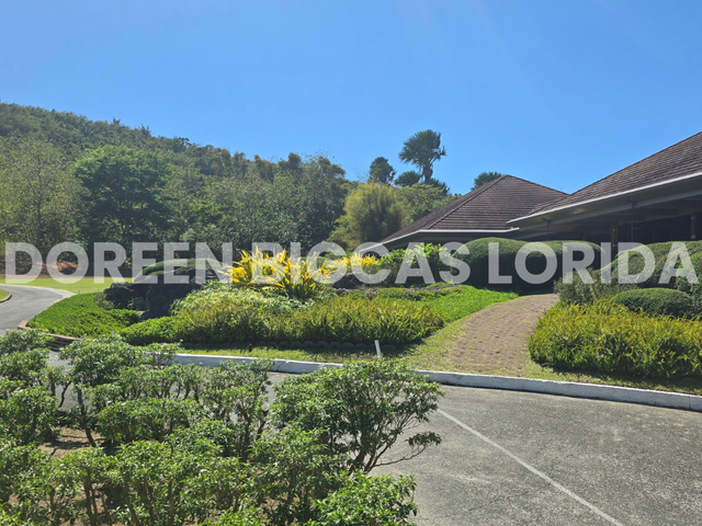 place photo 47