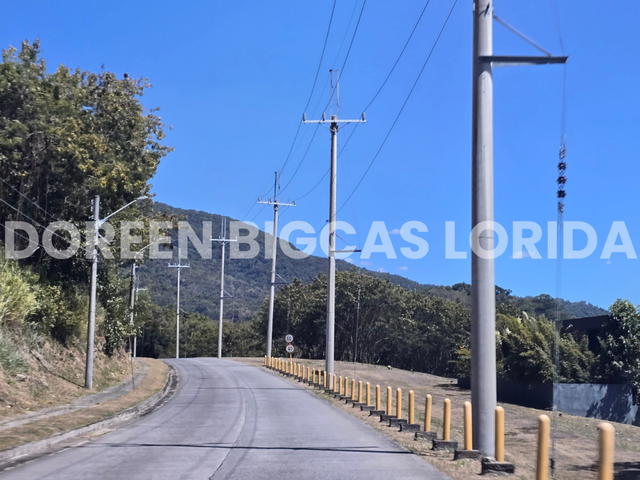 place photo 28