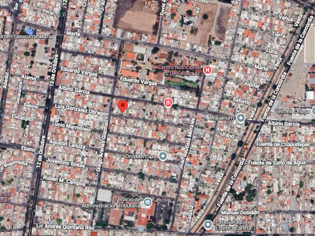 place photo 21