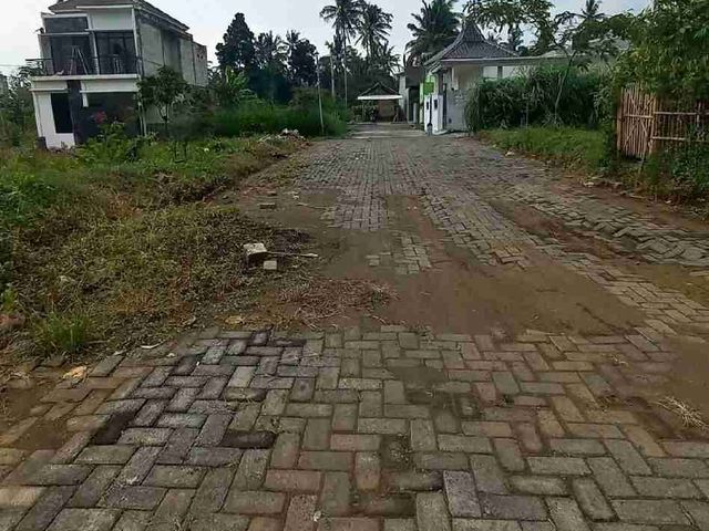 place photo 8
