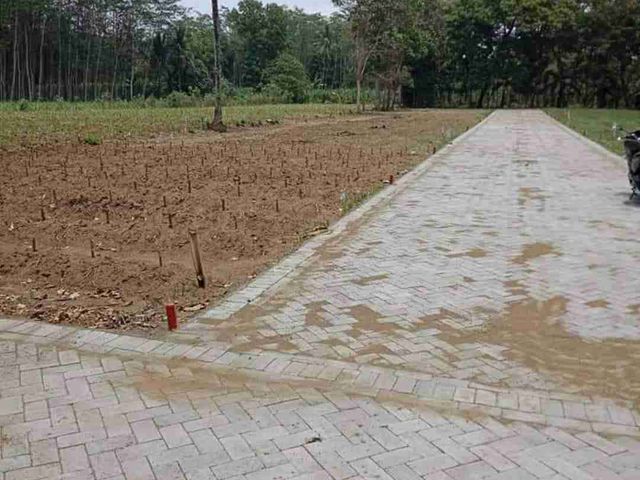 place photo 9