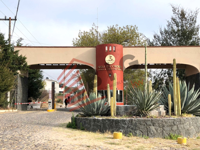 place photo 29