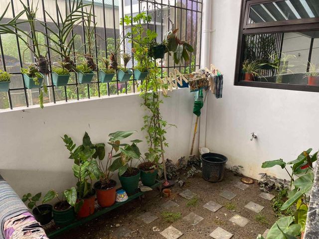 place photo 41