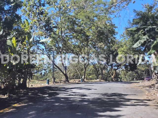 place photo 32