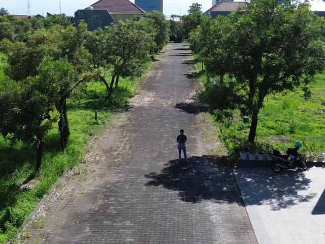 place photo 2