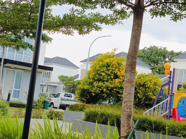 place photo 18