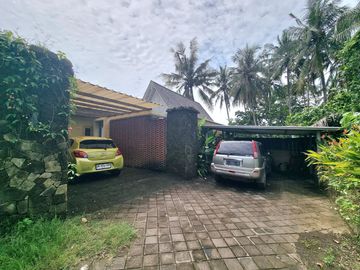 place photo 20