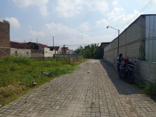 place photo 9