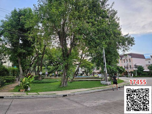 place photo 21
