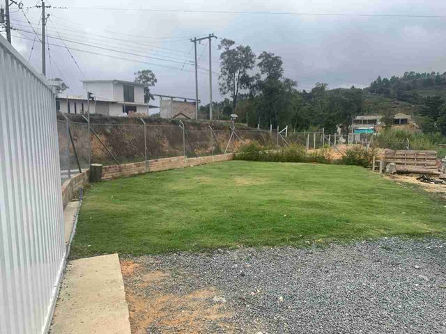 place photo 26