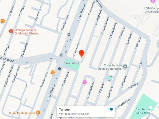 place photo 12