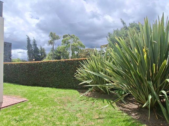 place photo 40