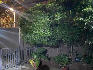 place photo 29