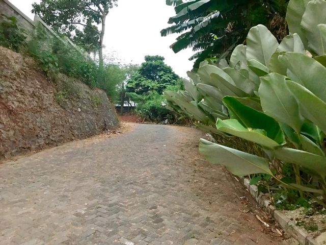 place photo 27