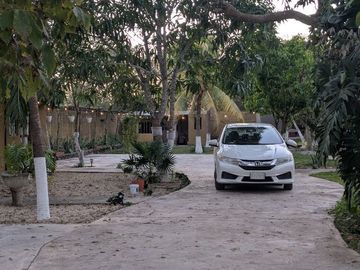 place photo 8