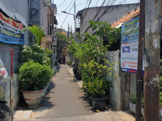 place photo 2