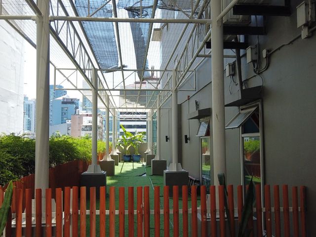 place photo 17