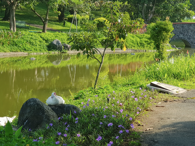 place photo 31