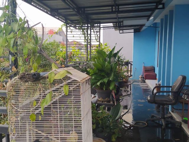 place photo 19