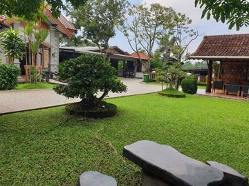 place photo 26