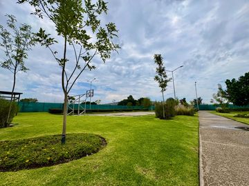 place photo 23