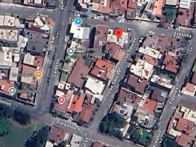 place photo 11