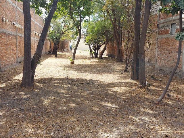 place photo 11