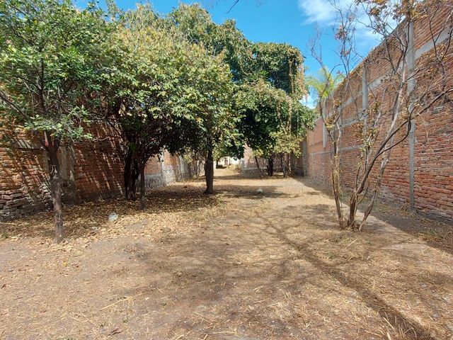 place photo 14