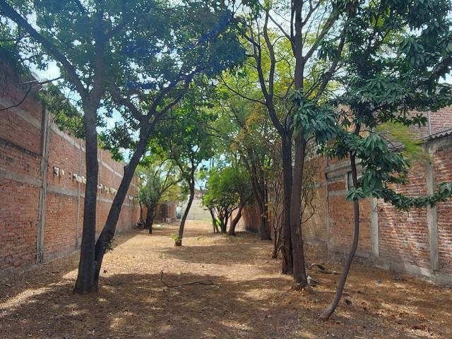 place photo 15