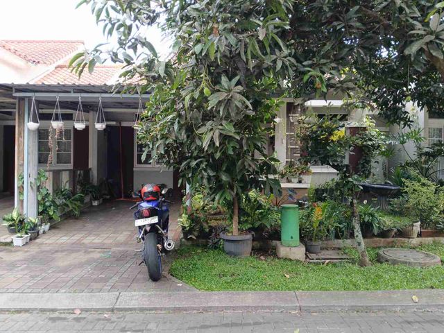 place photo 23