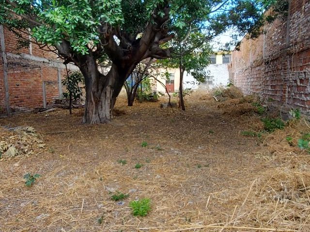 place photo 14
