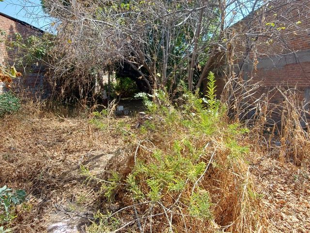 place photo 17