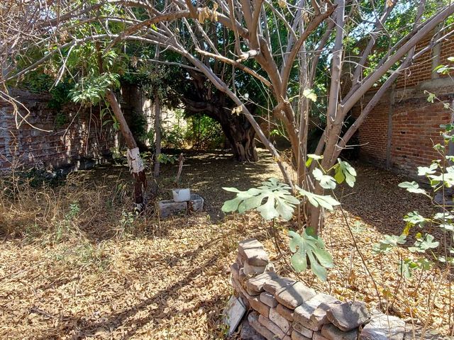 place photo 18