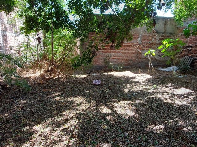 place photo 19