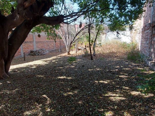 place photo 22