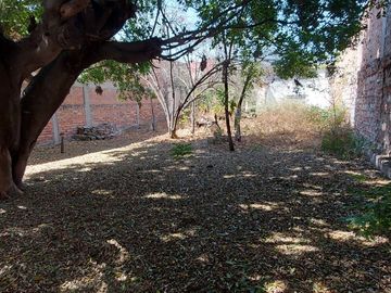 place photo 22