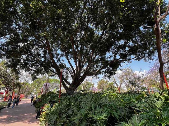 place photo 30