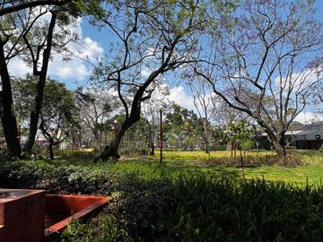 place photo 33