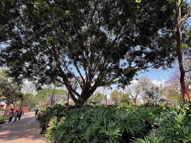 place photo 29