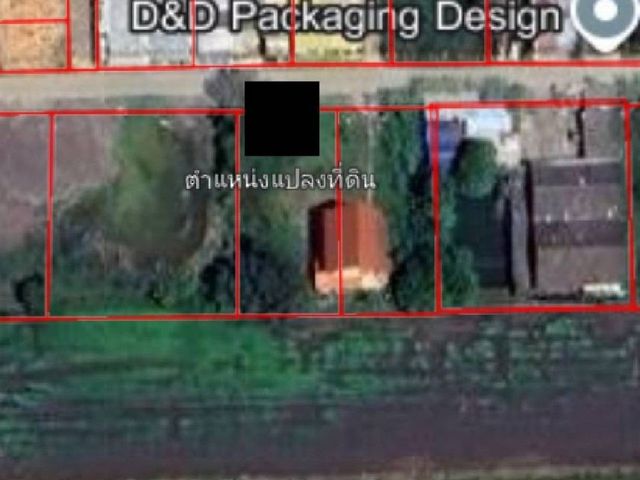 place photo 15